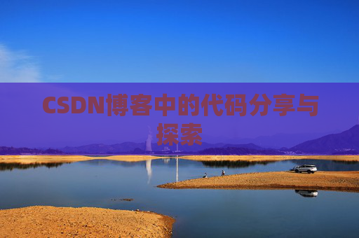 CSDN博客中的代码分享与探索